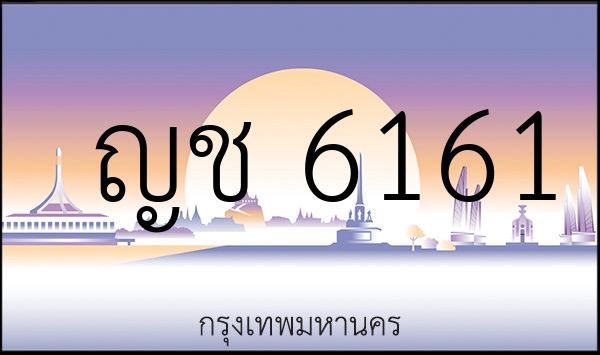 ญช 6161